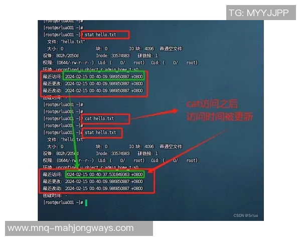 重磅专题TES的盯防革新探索与实践全景解析